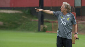 Éverton Ribeiro e o primeiro treino de Jorge Jesus: «Deu-nos os parabéns»