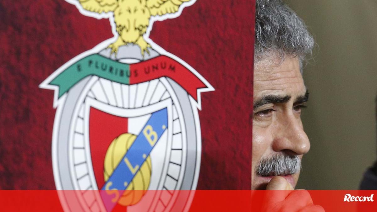 Mudança No Emblema Do Benfica Está Em Equação - Benfica - Jornal Record