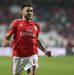 Salvio (preferência: transferência)