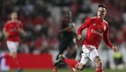 Cervi - 80 M€