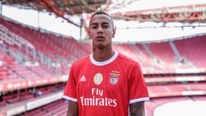 Os reforços do Benfica 2019/20: Cádiz dá profundidade ao ataque