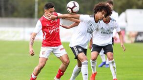 Tomás Tavares aponta objetivos no Benfica: «Ninguém nos dá nada e temos de trabalhar»