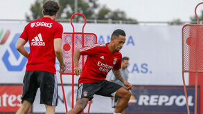 Assim foi o arranque dos trabalhos do Benfica 2019/20 no relvado