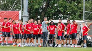 Bruno Lage prepara corte de uma dezena