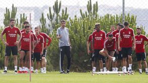 Benfica (quase) na máxima força para o primeiro desafio da pré-época