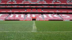 Relvado do Estádio da Luz ainda causou preocupação no Benfica
