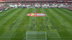 Novo relvado da Luz com 'remendos' para o primeiro jogo do Benfica