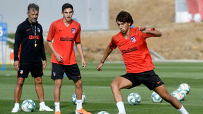 João Félix: o projeto pessoal de Diego Simeone