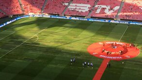 Benfica explica estado do relvado da Luz e revela solução