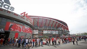 Romaria de adeptos do Benfica para nova despedida de Jonas