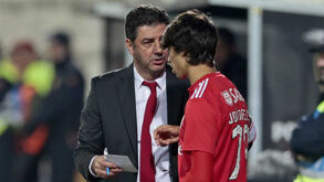 Rui Vitória: «Félix é eficiente e toma a melhor decisão com o menor gasto de energia»