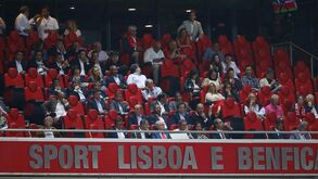 E-Toupeira: Benfica tenta perceber como a PJ se infiltrou nos camarotes da Luz