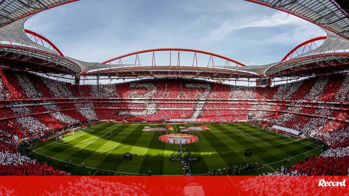 Fundo 23 Capital não comenta dívida do Benfica - Benfica - Jornal Record