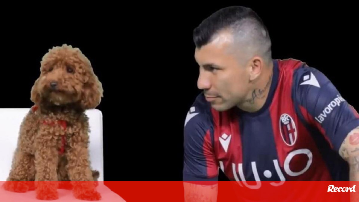 Pitbull´ chileno troca Inter por Besiktas 