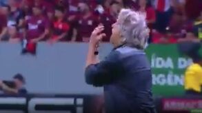 «Descabela-se e vai à loucura»: 'show' de Jorge Jesus dá que falar no Brasil