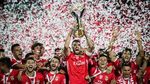 Uma noite de sensações distintas: da alegria das águias à tristeza dos leões