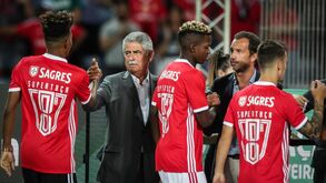 Vieira e a agressão a Miguel Albuquerque: «Se for verdade, lamento muito»