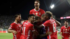 A crónica do Benfica-Sporting, 5-0: Instinto matador