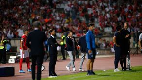 Banco do Benfica em sobressalto durante período de análise ao golo de Seferovic