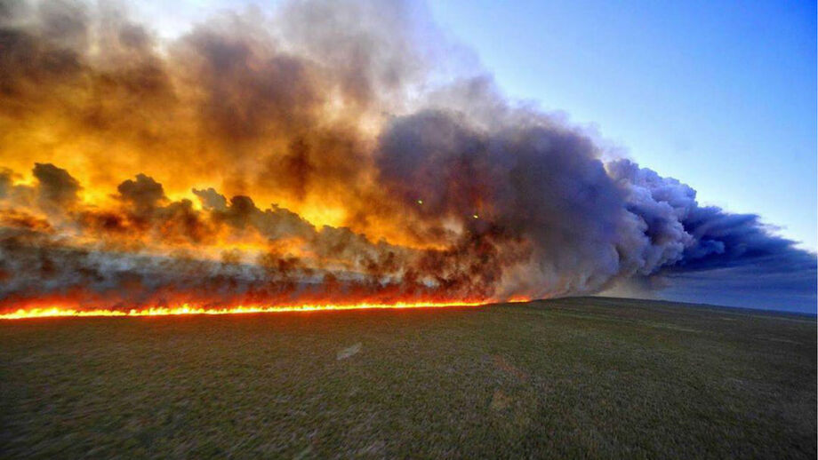 Internacional português reagiu aos incêndios que estão a devastar a área 