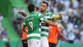 Salgado Zenha: «Jogadores do Sporting têm um salário ajustado ao mercado»