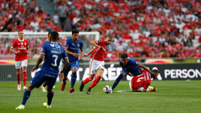 Taarabt no ciclo máximo