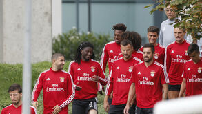 Três ausências de peso no treino do Benfica na véspera do arranque da Champions