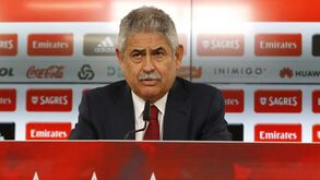 Contratações polémicas, lotação da Luz, relação com Mendes e até Vítor Catão: Vieira falou de tudo