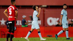 João Félix elogiado em Espanha: «Esta era a versão que o adepto do At. Madrid procurava»