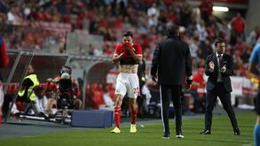 As imagens do Benfica-V. Guimarães: alguma desilusão, a maça de Svilar e quem esteve na tribuna