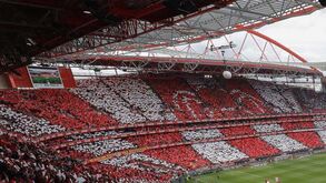 Vieira revela ações de modernização da Luz: «Destaco a substituição dos ecrãs gigantes»