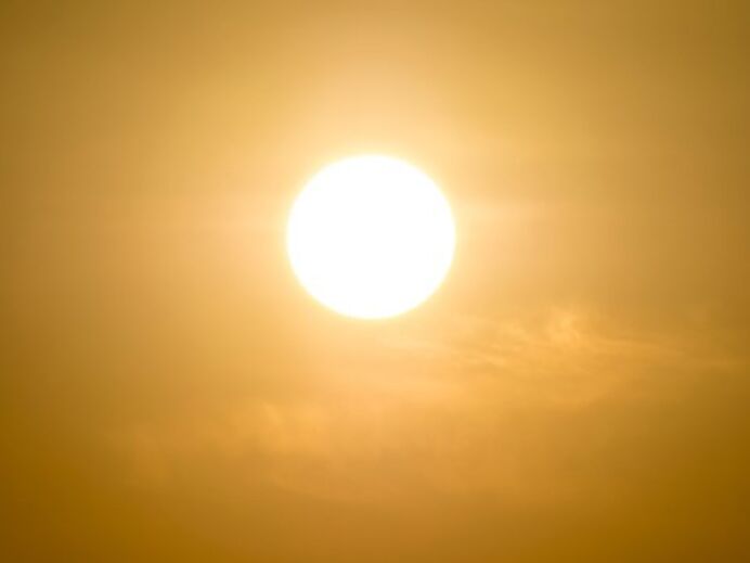 sol, xxx