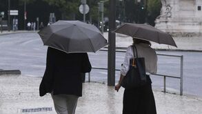 Depressão sazonal e nutrição