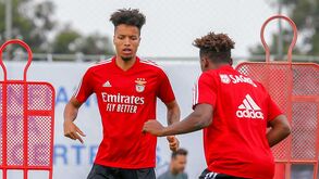 Sete jovens para estrear na equipa principal do Benfica