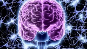 Estudo: Esforçar demasiado o cérebro pode tirar-lhe anos de vida