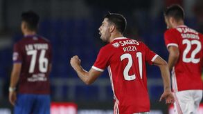 Os jogadores do Benfica um a um: velocidade cruzeiro