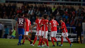 A crónica do Cova da Piedade-Benfica, 0-4: acabou em passeio