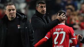 Bruno Lage, o relvado da Luz e o 