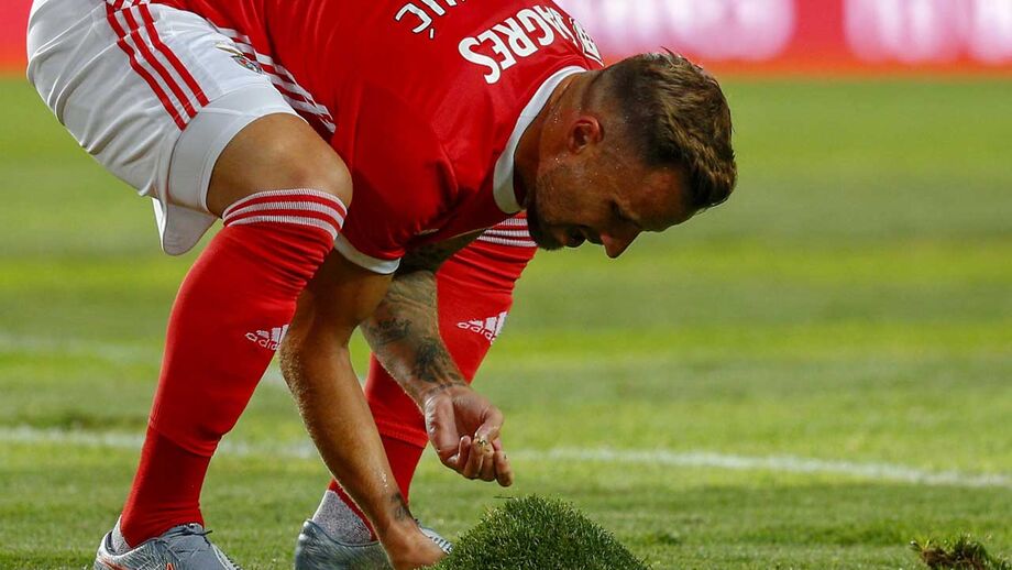 Benfica avalia colocação de novo relvado na Luz