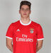Isailovic, 17 anos