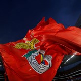 Administração da Benfica SAD considera OPA 