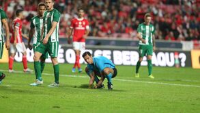 Relvado da Luz a dar as últimas