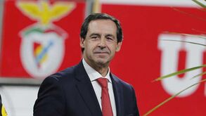 Gomes da Silva desvenda já algumas ideias a implementar caso seja presidente do Benfica