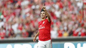 «Não veem um João Félix agressivo ou violento»