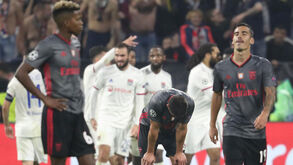 Rui Costa: «Não posso permitir que se desvalorize o facto de estarmos em primeiro»