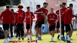 Jogadores profissionais do Benfica chegam para 5 plantéis
