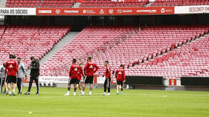 As imagens do treino do Benfica no novo tapete verde da Luz