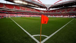 Benfica fecha o dia a ganhar mais de 70%: é a maior valorização de sempre