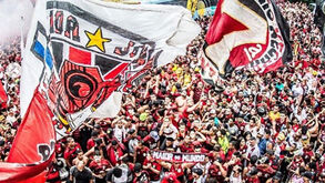 Jogadores do Flamengo mostram a 'loucura' dos adeptos e agradecem apoio