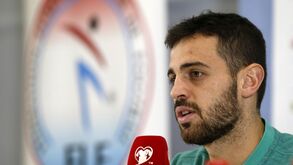 PS, BE e Livre recusam solidarizar-se com CDS relativamente a Bernardo Silva